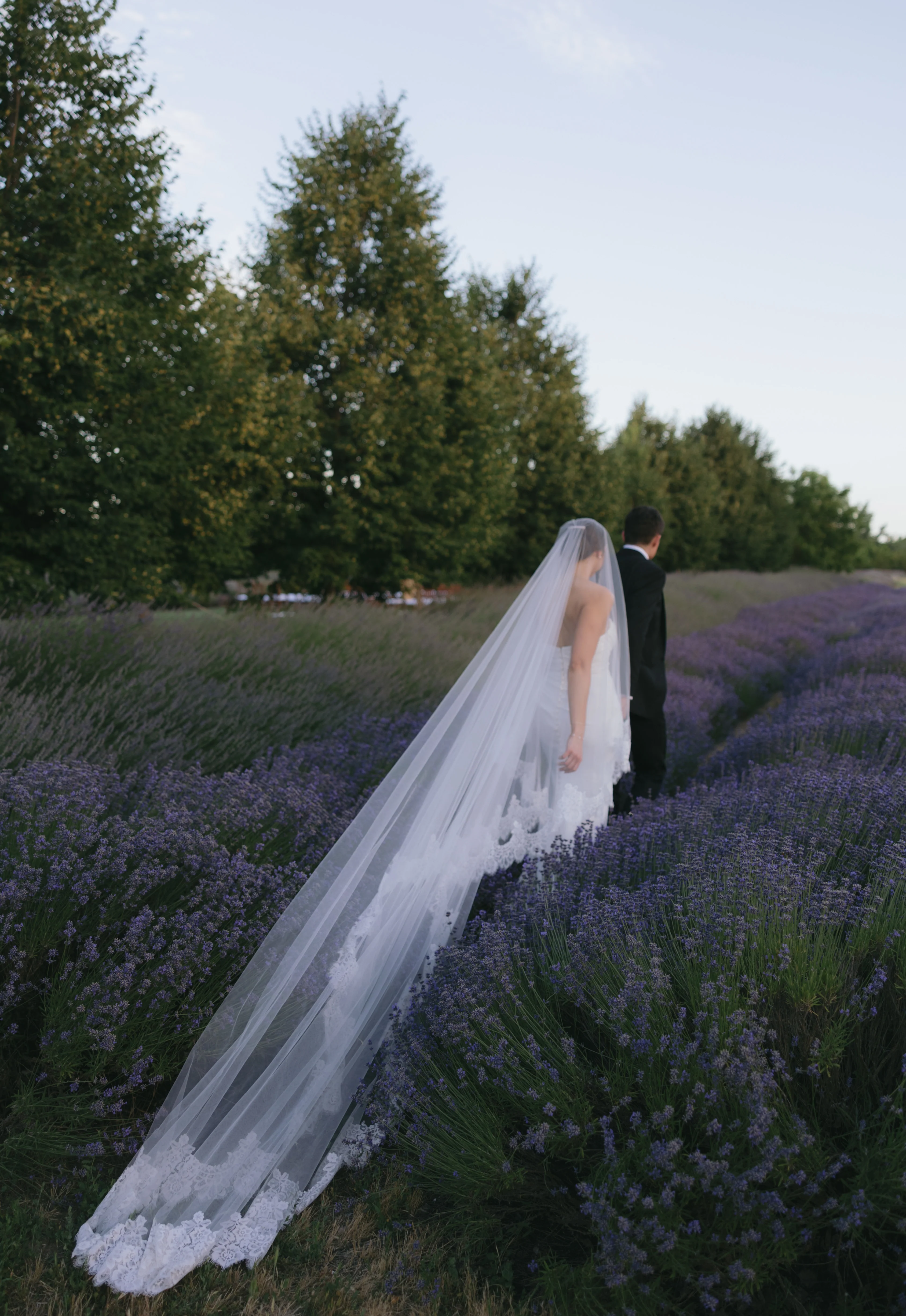 Alexandria - Blusher lace veil - Studio 3 Twenty One LLC
